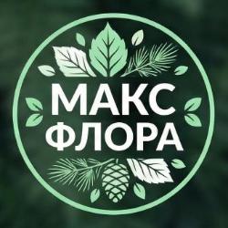 Логотип МаксФлора